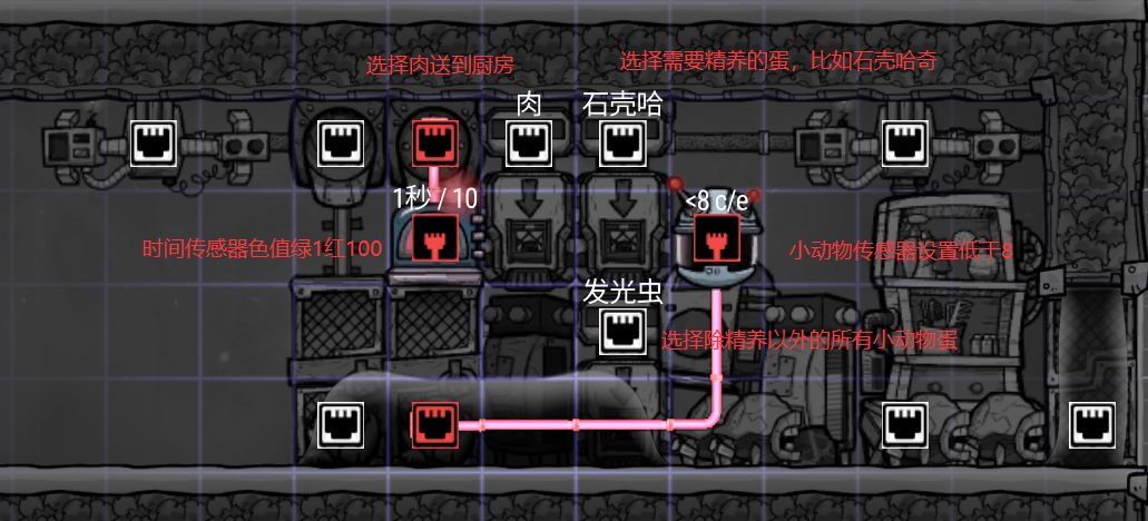 自动化设置